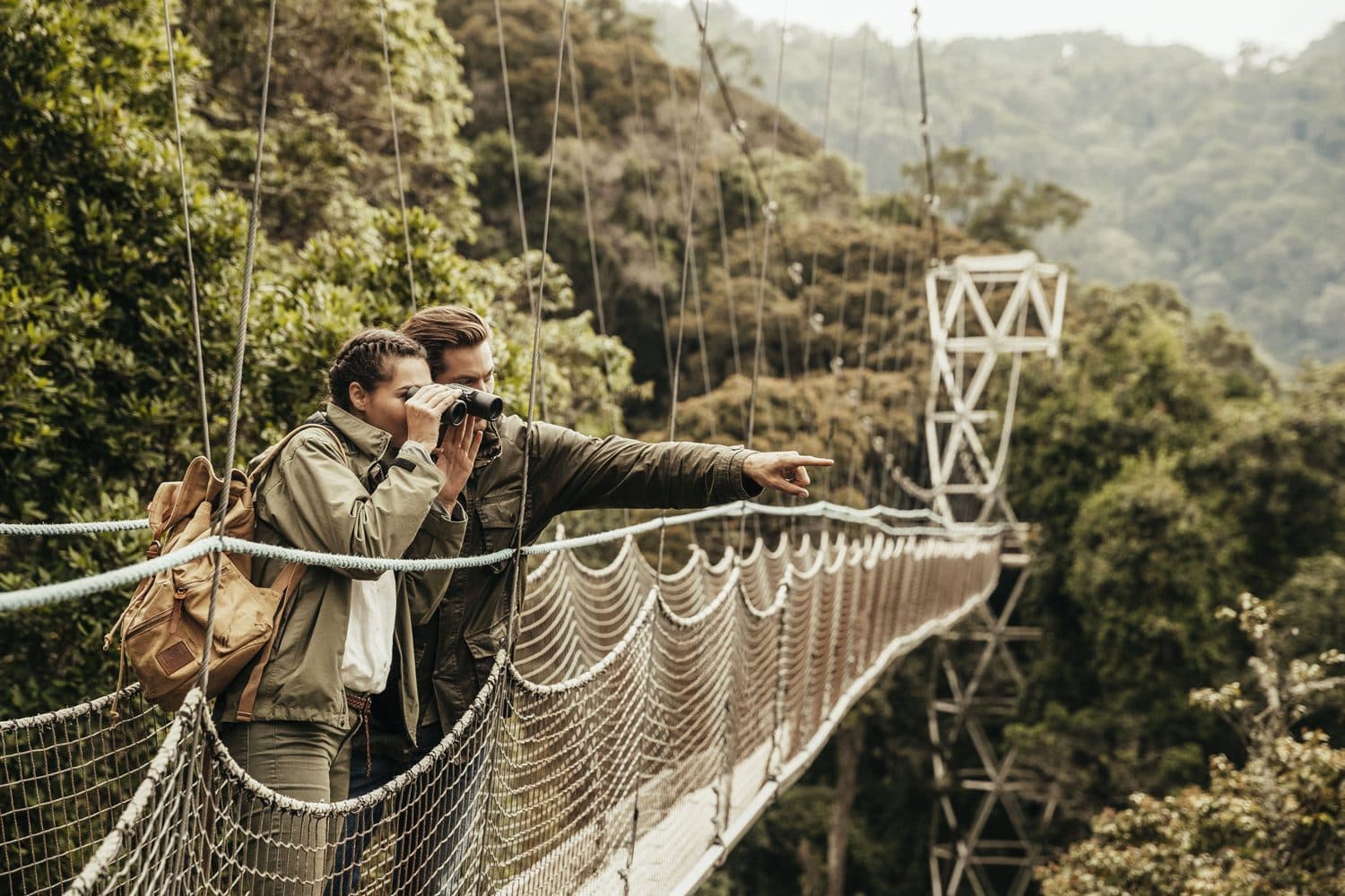 Rwanda canopy walk